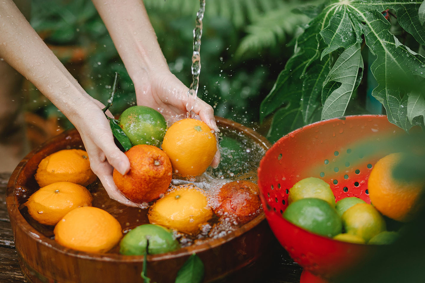 Fresh fruits stored properly to prevent spoilage